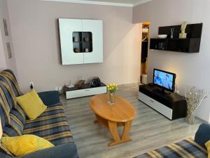 TV a/nebo společenská místnost v ubytování HILL apartmán