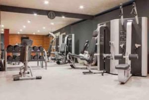 a gym with several rows of tread machines at Luxury penthouse, panoramic sea view in Mogán