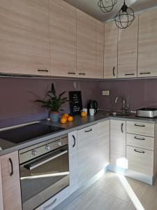 eine Küche mit weißen Schränken und Küchengeräten aus Edelstahl in der Unterkunft Forest 88 apartment in Mostar