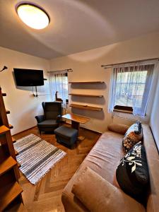 een woonkamer met een bank en een tv bij Apartmán Petra Clinic Javor in Pec pod Sněžkou