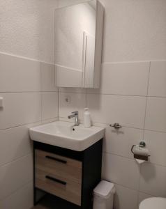 La salle de bains est pourvue d'un lavabo et de toilettes. dans l'établissement 2 Zimmerwohnung in Bietingen, à Gottmadingen