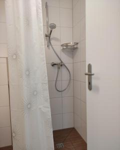 La salle de bains est pourvue d'une douche avec rideau de douche. dans l'établissement 2 Zimmerwohnung in Bietingen, à Gottmadingen