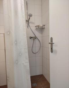 eine Dusche mit Duschvorhang im Bad in der Unterkunft 2 Zimmerwohnung in Bietingen in Gottmadingen