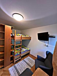 TV a/nebo společenská místnost v ubytování Apartmán Petra Clinic Javor