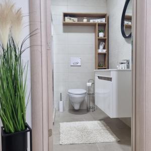 a bathroom with a white toilet and a sink at Apartman Ivkovic in Sremska Mitrovica
