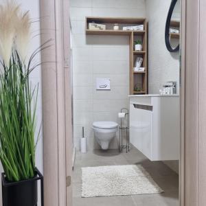 Vannituba majutusasutuses Apartman Ivkovic