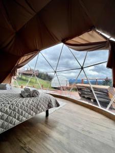 Un paisaje natural cerca del camping de lujo