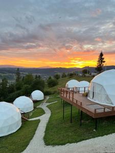 Příroda nedaleko luxury tent