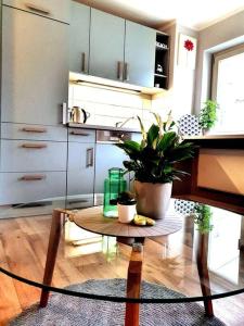 a kitchen with a table with a potted plant on it at Rostock hautnah erleben - schöne Maisonette 2OG in Rostock