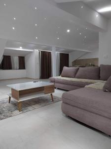 a living room with two couches and a coffee table at Anton Lux Apartment in Kočani