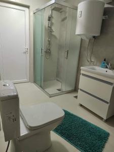 a bathroom with a shower and a toilet and a sink at Anton Lux Apartment in Kočani