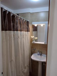 a bathroom with a shower curtain and a sink at Precioso departamento en Paraná. Zona Centro in Paraná +32 photos