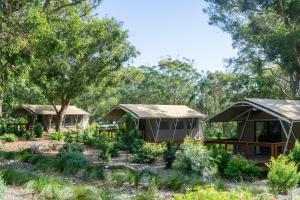 un grupo de tiendas de campaña en un jardín en Port Stephens Koala Sanctuary en One Mile