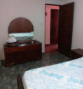 a bedroom with a mirror and a bed and a dresser at SUMAQ WASICHA SALTA in Salta