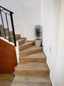 Fotografie z fotogalerie ubytování Casa Noriux en Gdl v destinaci Guadalajara
