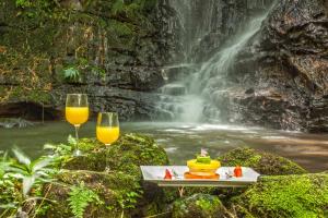 two glasses of orange juice next to a waterfall at Hacienda Buenavista in Quimbaya