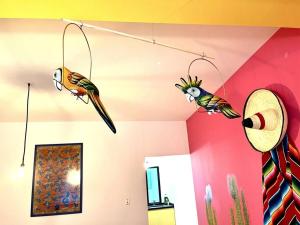 a room with two parrots hanging on the wall at Apartment in the touristic heart of Mexico City in Mexico City