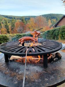 a crab cooking on a grill with a fire at Chaloupka in Karlova Studánka