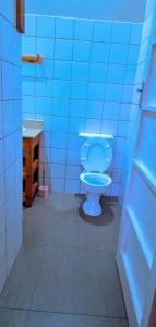 a blue bathroom with a toilet and a sink at Pmb Guest House in Pietermaritzburg