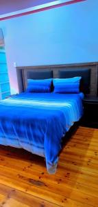 een bed met een blauw licht erop bij Pmb Guest House in Pietermaritzburg