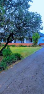 a house with a tree on the side of a street at Pmb Guest House in Pietermaritzburg