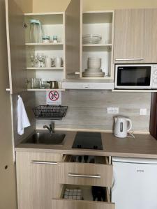 eine Küche mit einer Spüle und einer Mikrowelle in der Unterkunft Vila Lucky Kop & Restoran in Kopaonik