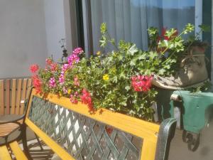 ザーファウスにあるZirbennestのギャラリーの写真