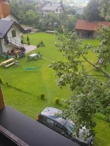 a view of a yard with a car parked in the grass at Casa Felicia in Moieciu de Jos