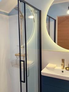 a bathroom with a shower and a sink and a mirror at Homemade Apartment in Liebshausen