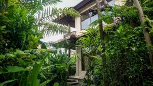 Ein Garten an der Unterkunft Sakti Garden Resort & Spa