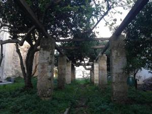 オートラントにあるAppartamento Gelso Biancoの庭木の古い石造りのアーチ道