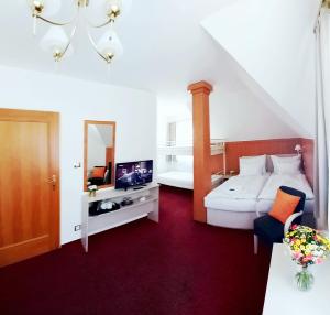 Televízia a/alebo spoločenská miestnosť v ubytovaní Hotel Hradec