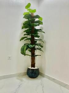 Gallery image of شالية الفضائل in Barka