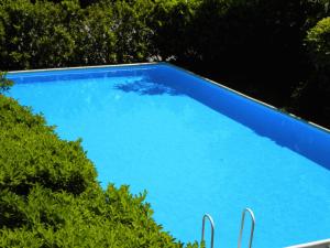 a blue swimming pool with some green bushes at Appartamenti Girasole in Cannobio