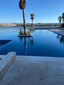 una piscina de agua con una palmera en ella en Luxueux appartement Ritz Carlton Marina Smir, en Sania Torres