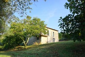 una vieja casa de piedra en una colina con un árbol en Casale Amerina, en Camerata
