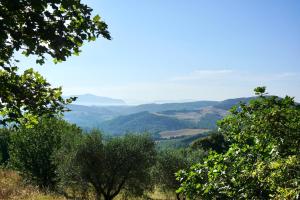 Φυσικό τοπίο κοντά σε αυτή η παραθεριστική κατοικία