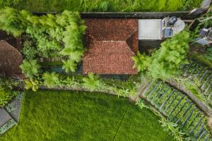 Zahrada ubytování Rumah Jembarati