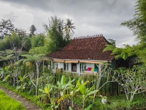 Zahrada ubytování Rumah Jembarati