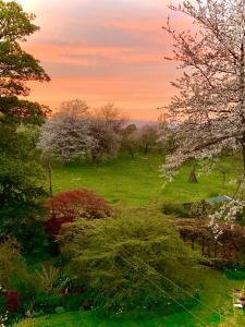 a green field with a sunset in the background at The Studio at Maspie House in Falkland