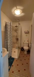 a bathroom with a shower and a toilet and a sink at La Gouline in Gréez-sur-Roc