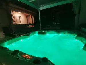 Der Swimmingpool an oder in der Nähe von Apartman Hola