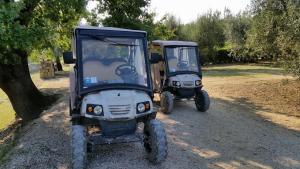 Fotografie z fotogalerie ubytování Agriturismo Ripaiani v destinaci Marsciano