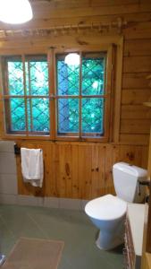 DOMEK LETNISKOWY MYSCÓWKA في Krempna: حمام خشبي مع مرحاض ونافذة
