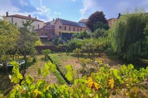 Vonkajšia záhrada v ubytovaní Les Hauts de St Jacques maison d'exception 300m2, jardin arboré 2000m2