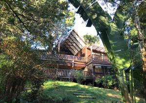 a large wooden house with a deck in the trees at Forestchild Self Catering, The Crags in The Crags
