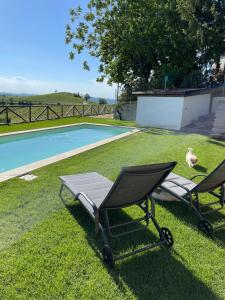 un par de sillas sentadas en el césped junto a una piscina en La Casa del Tiglio, en Mombaruzzo