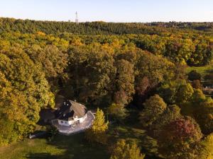 una vista aérea de una casa en el bosque en Magnólia en Nagykanizsa