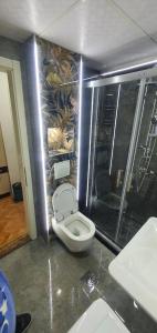 e bagno con servizi igienici e doccia. di Ristevski Apartments a Ohrid