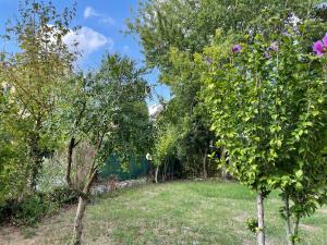 A garden outside ONLY THE BEST 5 tra Venezia e Treviso